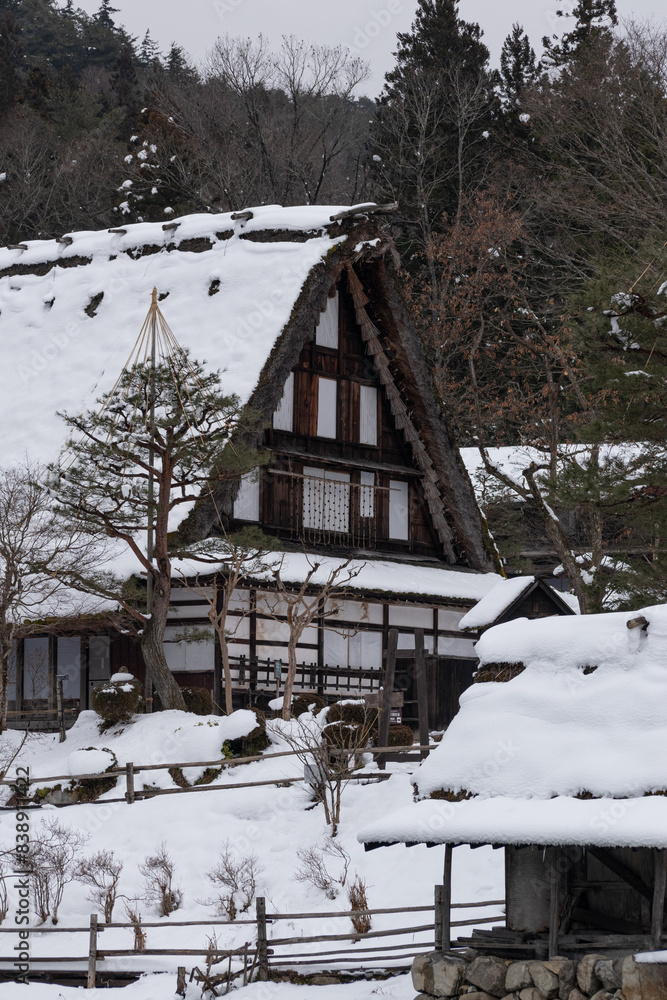 Shirakawa-go village, traditional houses in Japan during the winter. Shirakawa-go village, traditional houses in Japan during the winter.