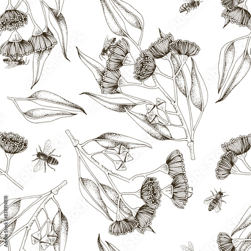 Seamless pattern with bees pollinating blooming eucalyptus.