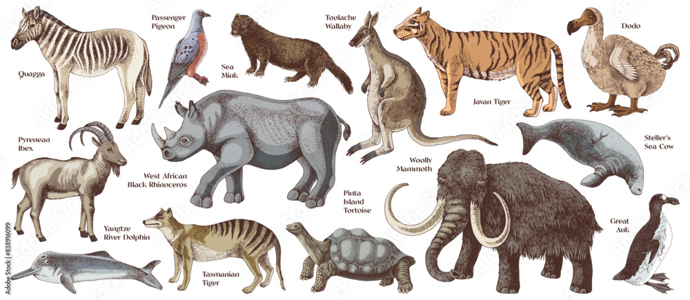 Fototapeta premium Set of hand drawn extinct animals