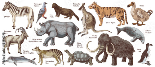 Set of hand drawn extinct animals