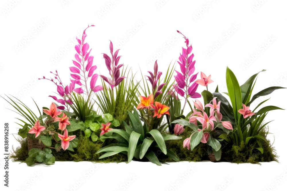 Blossoms in Bloom: A Symphony of Colors on a White or Clear Surface PNG Transparent Background. Blossoms in Bloom: A Symphony of Colors on a White or Clear Surface PNG Transparent Background.