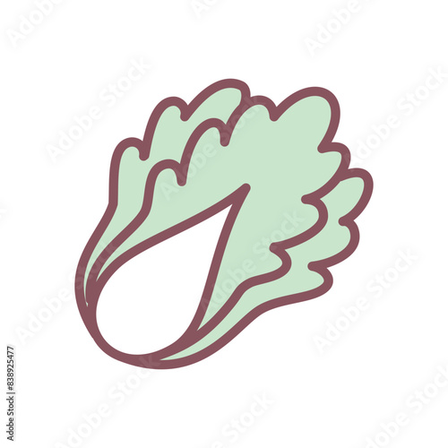 Cute chinese cabbage icon. Hand drawn illustration of a peking cabbage head isolated on a white background. Vector 10 EPS.
