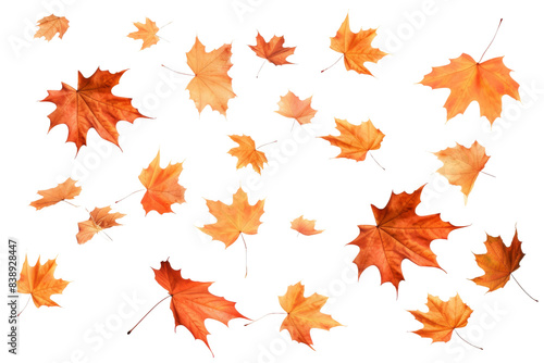 Whimsical Dance of Autumn: A Cascade of Floating Orange Leaves on a White or Clear Surface PNG Transparent Background.