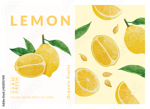 Lemon packaging design templates, watercolour style vector illustration.