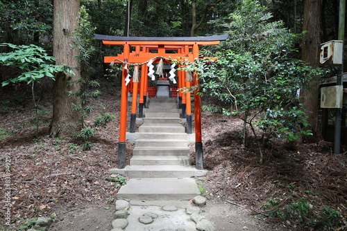 A Japanese shrine in Katano City in Osaka Prefecture : a scene of the precincts of Hoshida-myokengu Shrine photo