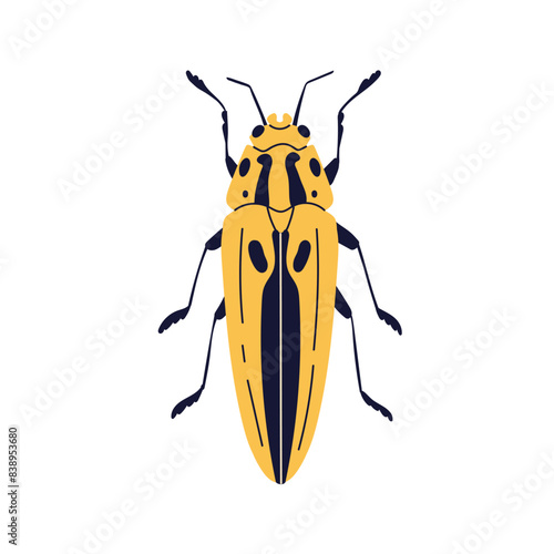 Beetle, striped pattern, antenna, top view. Forest bug, summer insect. Semiot...