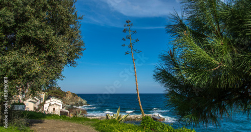 La côte méditerranéenne au cap Corse à Porticciolo, Corse, France photo