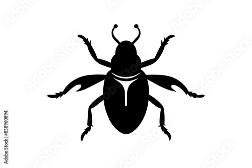 bombardier beetle silhouette vector illustration