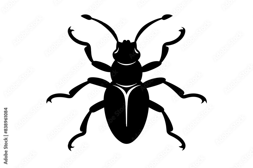 bombardier beetle silhouette vector illustration bombardier beetle silhouette vector illustration