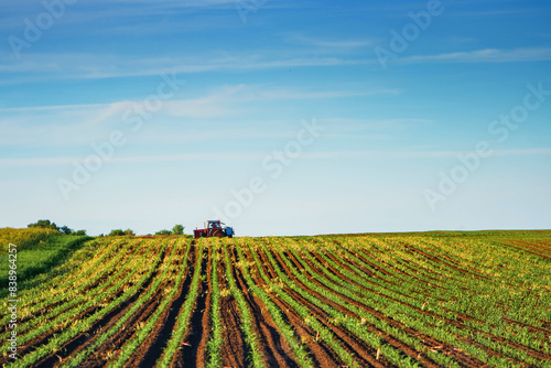 Tractor with crop sprayer equipment attached in cultivated maize field ready for herbicide treatment of weeds