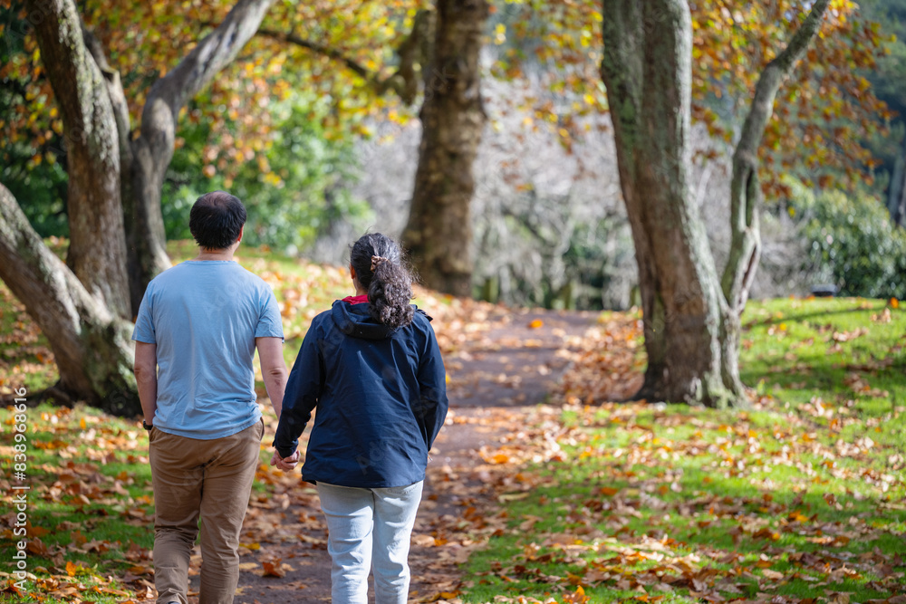 Couple holding hands and walking among golden autumn trees. Auckland. Couple holding hands and walking among golden autumn trees. Auckland.