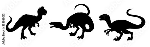 Black silhouette of carnivorous dinosaurs. Velociraptor, Coelophysis, and Crylophosaurus. Vector illustration.	