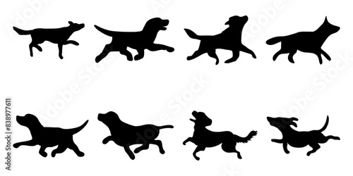 illustration or silhouette of a swimming dog