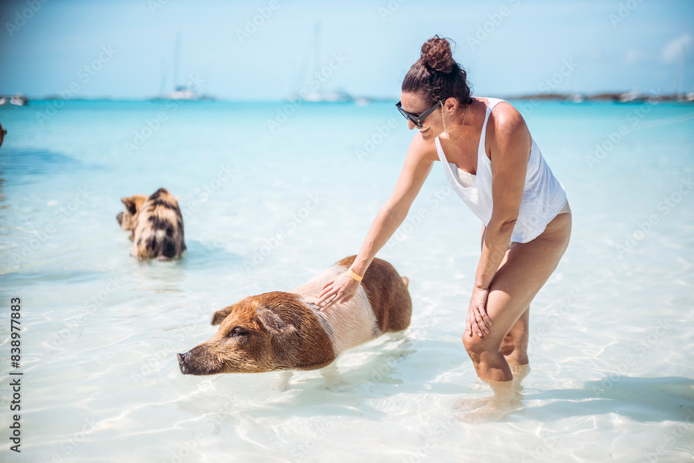 Woman petting pig, swimming in sea on Pig Beach, Exuma, Bahamas, Caribbean