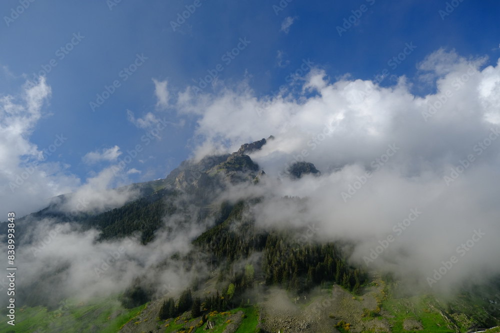 Elevit Plateau in Rize. This plateau . Kackar Mountains region. Rize, Turkey. Elevit Plateau in Rize. This plateau . Kackar Mountains region. Rize, Turkey.