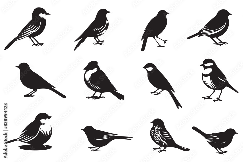 set of birds silhouettes set of birds silhouettes