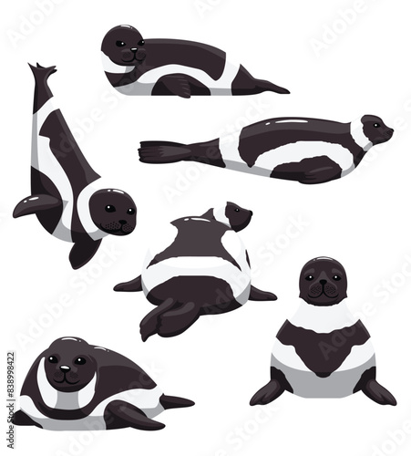 Ribbon Seal various Poses Set Cartoon Vector