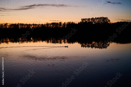 Sunset at a lake in Belgium photo