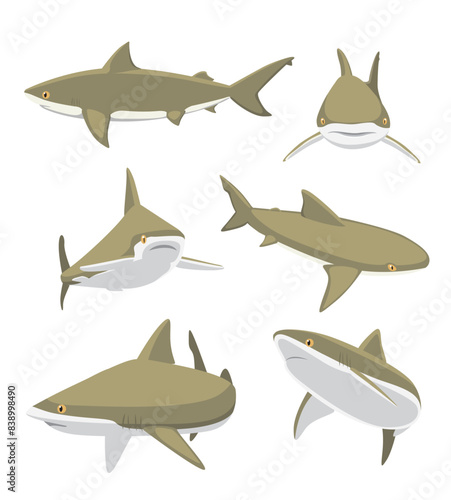 Bull Shark Cartoon Character
