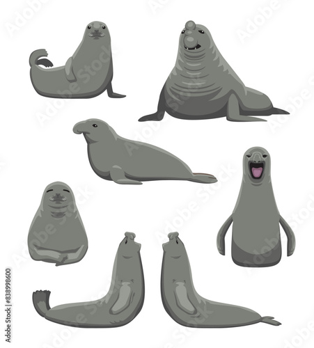 Southern Elephant Seal various Poses Set Cartoon Vector