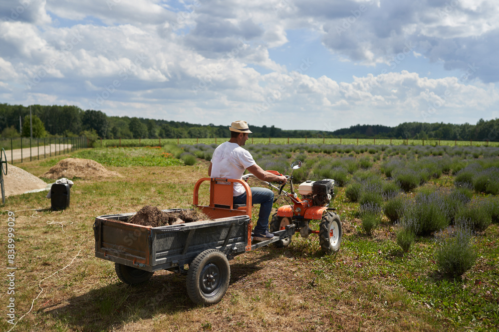 Obraz premium Indian man by his lavender field