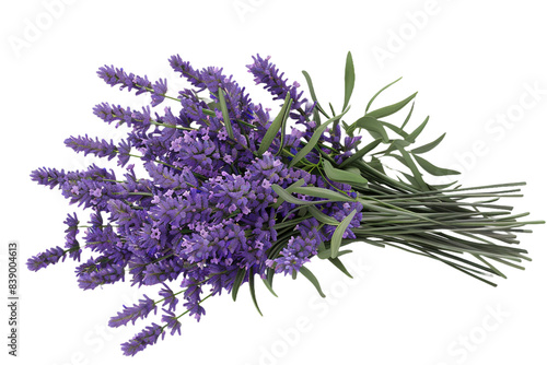 bunch of lavender isolated on transparent background photo