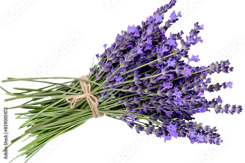 bunch of lavender isolated on transparent background photo