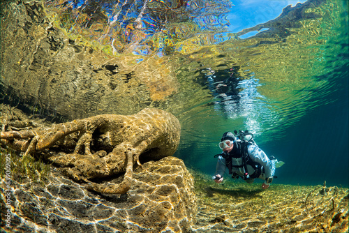 Austria, Tyrol, Lake Fernsteinsee, tree under water with a diver photo