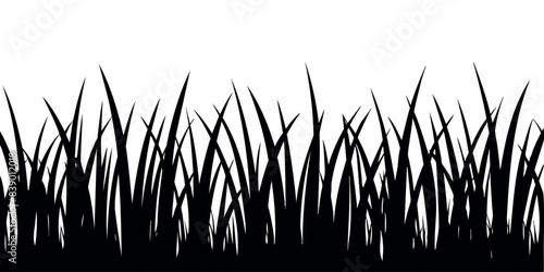 grass silhouette on a transparent background