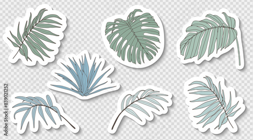 A set of hand-drawn tropical stickers with green leaves of various topical plants isolated on a transparent background.