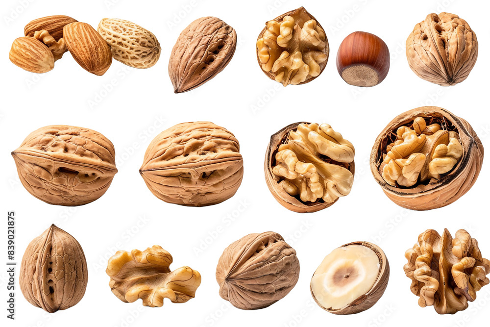 Collection of nuts isolated on transparent background Collection of nuts isolated on transparent background