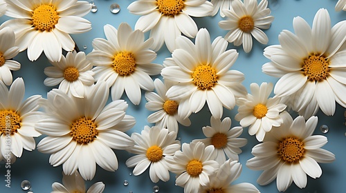 Light yellow daisy petals sprinkled on a solid pastel blue background, creating a cheerful and soft visual © Maher