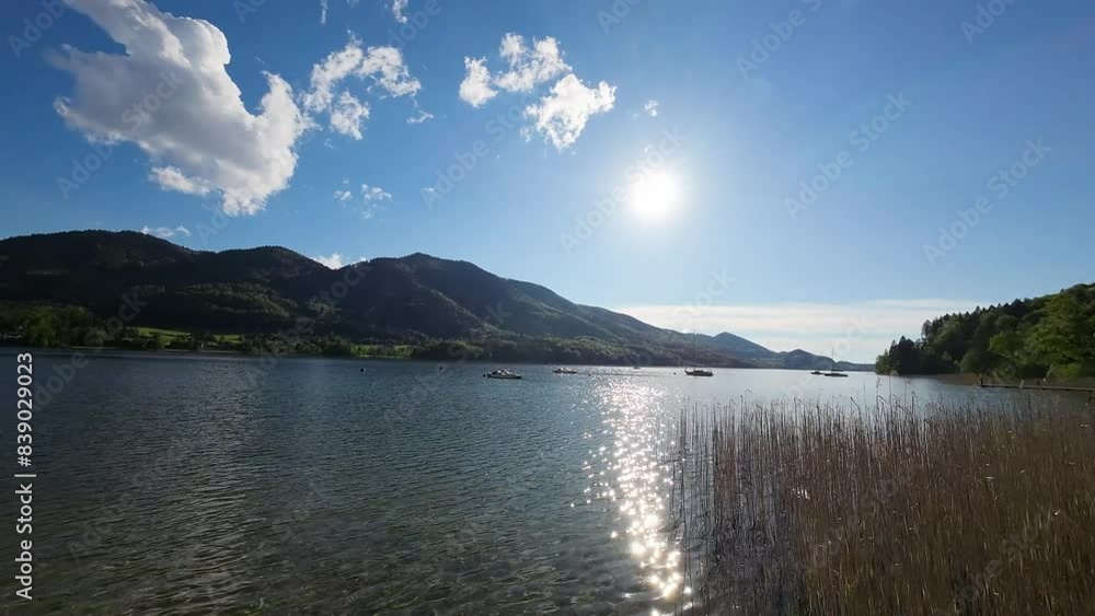 Sunset am Alpensee mit Golden Hour-Atmosphäre, Luftaufnahme mit Drohne, Tiefflug über das Schilf am Ufer hinaus auf den See mit ankernden Booten vor einem schönen Bergpanorama. Sunset am Alpensee mit Golden Hour-Atmosphäre, Luftaufnahme mit Drohne, Tiefflug über das Schilf am Ufer hinaus auf den See mit ankernden Booten vor einem schönen Bergpanorama.