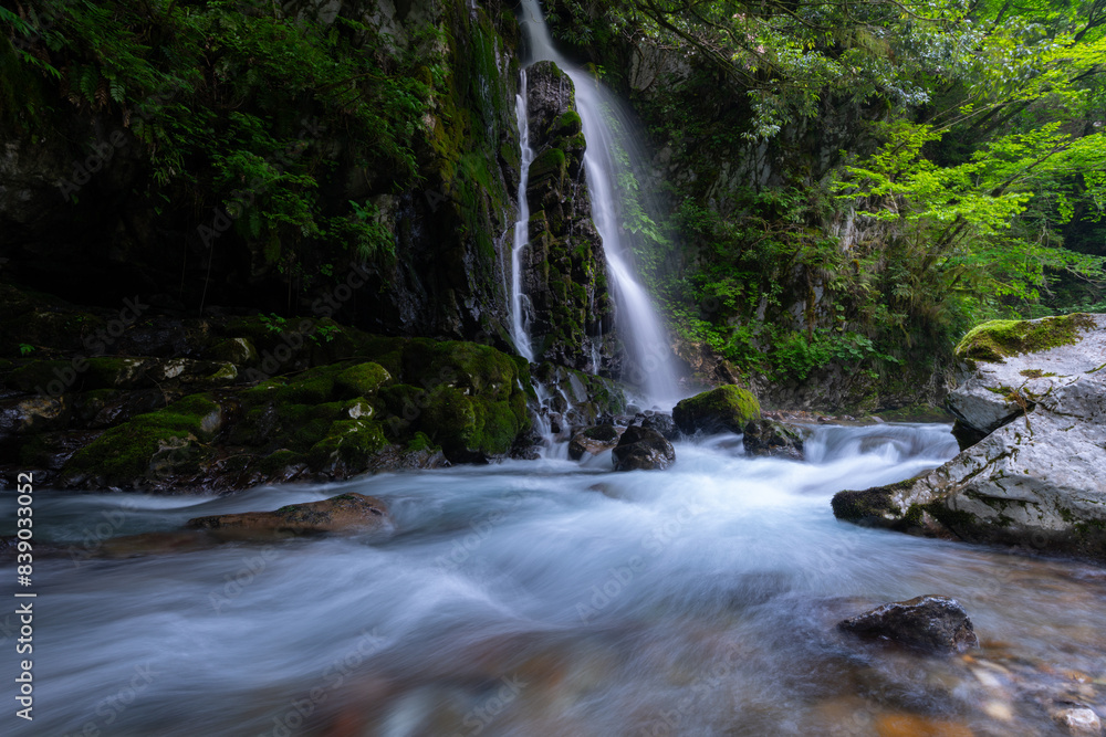 Fototapeta premium 美しい滝のある風景