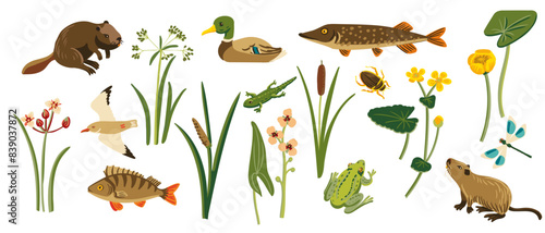vector drawing wild water plants, fishes and animals at white background, set of natural elements, hand drawn illustration