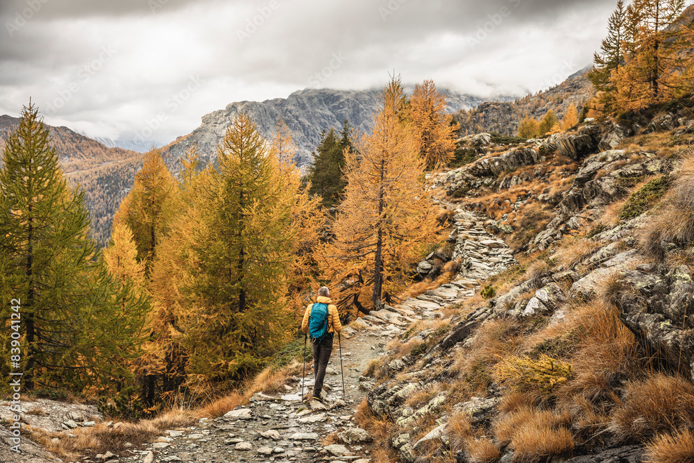 Hiker walking through alpine plateau in autumn, Sondrio, Italy Hiker walking through alpine plateau in autumn, Sondrio, Italy