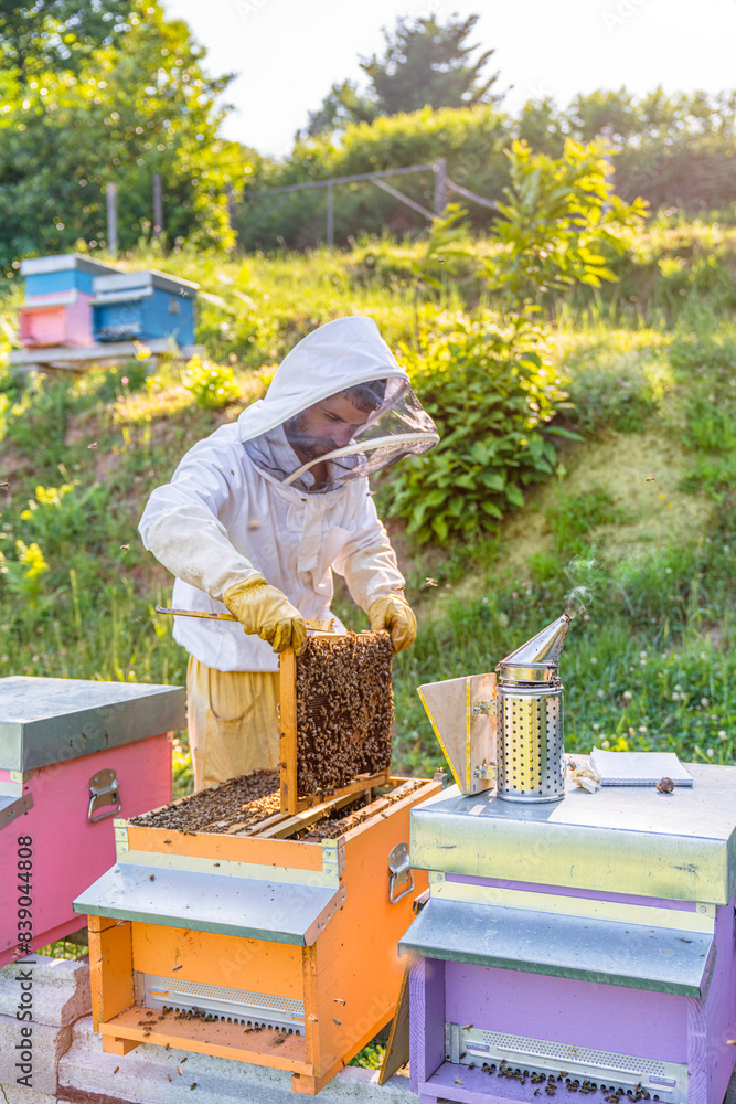 Beekeeper with honeycombs and smoker Beekeeper with honeycombs and smoker