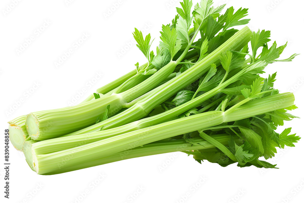 Fresh celery isolated on transparent background Fresh celery isolated on transparent background