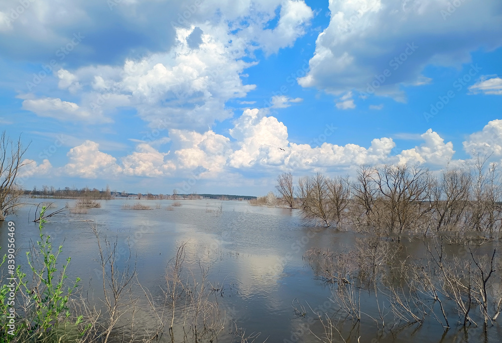 Fototapeta premium Landscape with expressive clouds