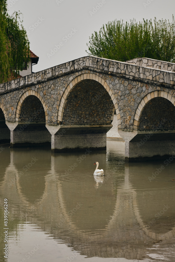Beautiful original retro stone bridge over a dirty river. The reflection of the bridge in the pond. A beautiful graceful white swan. Stanisici Ethno Village.