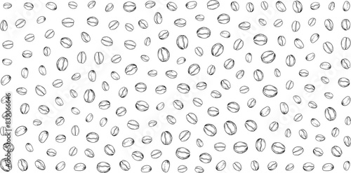 Coffee beans vector background.