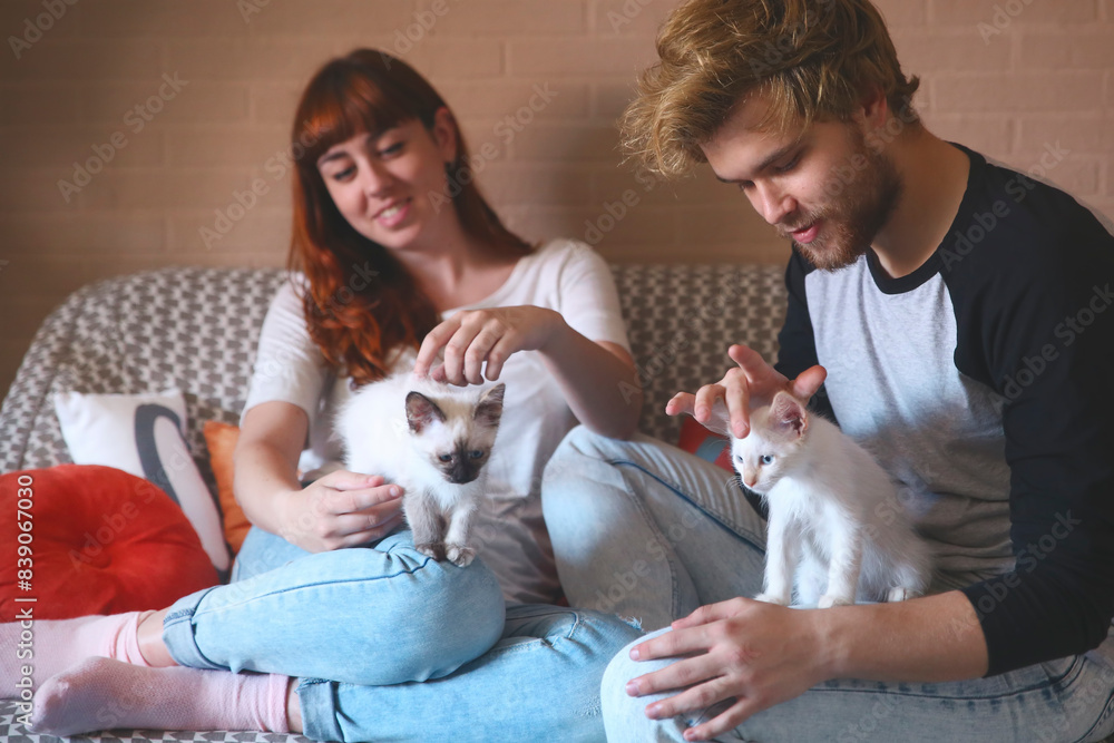 Young couple with kittens on the couch at home Young couple with kittens on the couch at home