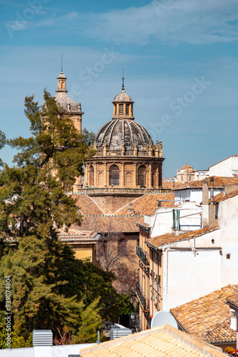 Granada Cathedral in Granad...