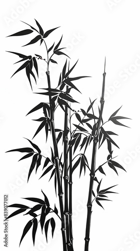 Hand-drawn bamboo shoots, black and white, flat design, intricate details, no people