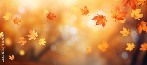 Autumn banner. Yellow and red maple leaves in the autumn park. Natural blurred background.