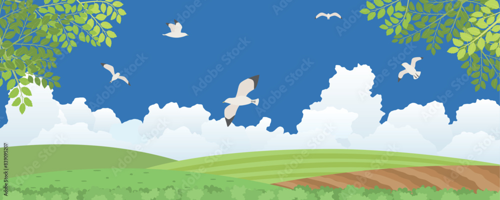 Obraz premium 夏の田舎の風景