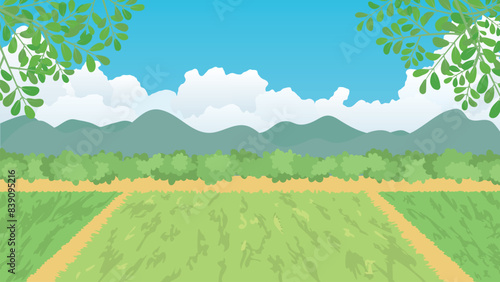 夏の田園風景（フルHD 16:9サイズ）
