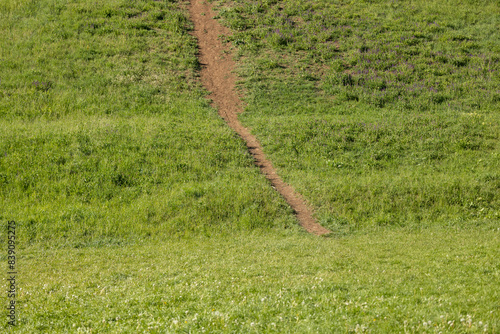 The path is trampled on a slope covered with green grass