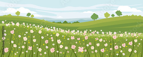 Flower meadow landscape vector illustration. Beautiful landscape of a flower field with green meadows against the backdrop of trees, amazing sky and clouds. Panoramic landscape of summer fields.
