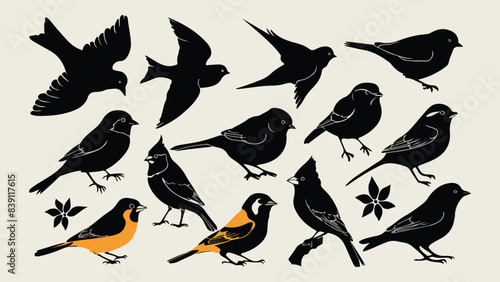 Black silhouette set birds on white background vector image. 